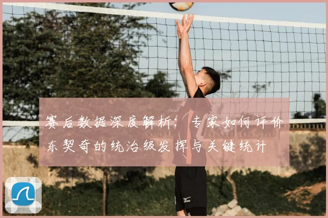 赛后数据深度解析：专家如何评价东契奇的统治级发挥与关键统计