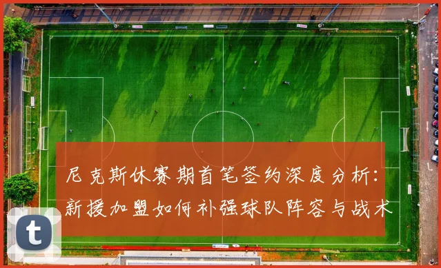 尼克斯休赛期首笔签约深度分析：新援加盟如何补强球队阵容与战术